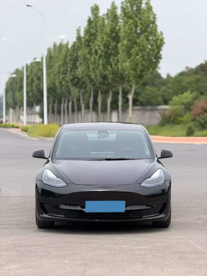 2022 Tesla Model 3 BEV 60KWH,autocango,china used car exporter,china ev exporter,chinese used car exporter,chinese used ev exporter