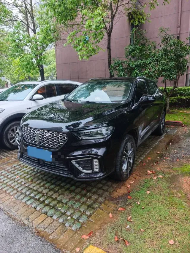 2021 WEY VV5 1.5T 171HP L4 7DCT,autocango,china used car exporter,china ev exporter,chinese used car exporter,chinese used ev exporter