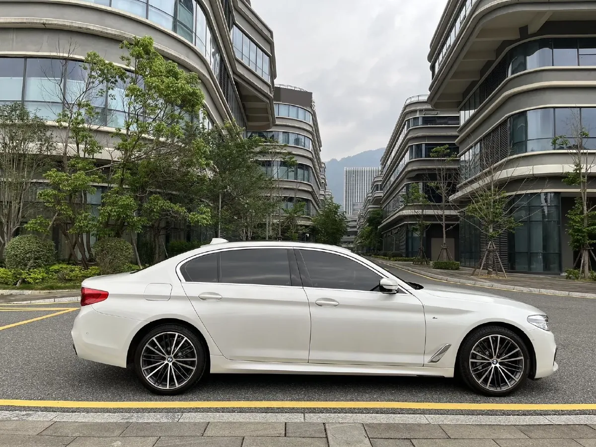 2020 BMW 5 Series 2.0T 252HP L4 8AT,autocango,china used car exporter,china ev exporter,chinese used car exporter,chinese used ev exporter