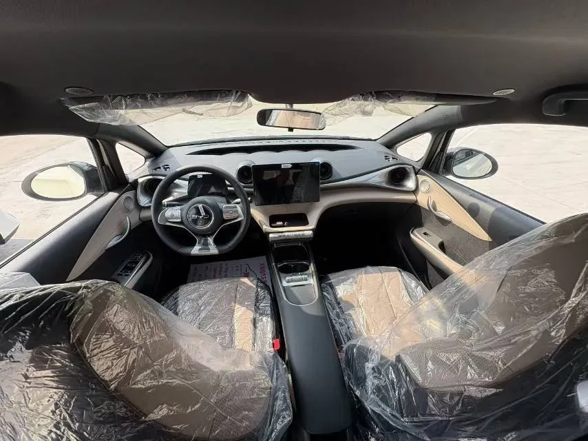 2025 BYD Dolphin BEV 44.928KWH,autocango,china used car exporter,china ev exporter,chinese used car exporter,chinese used ev exporter