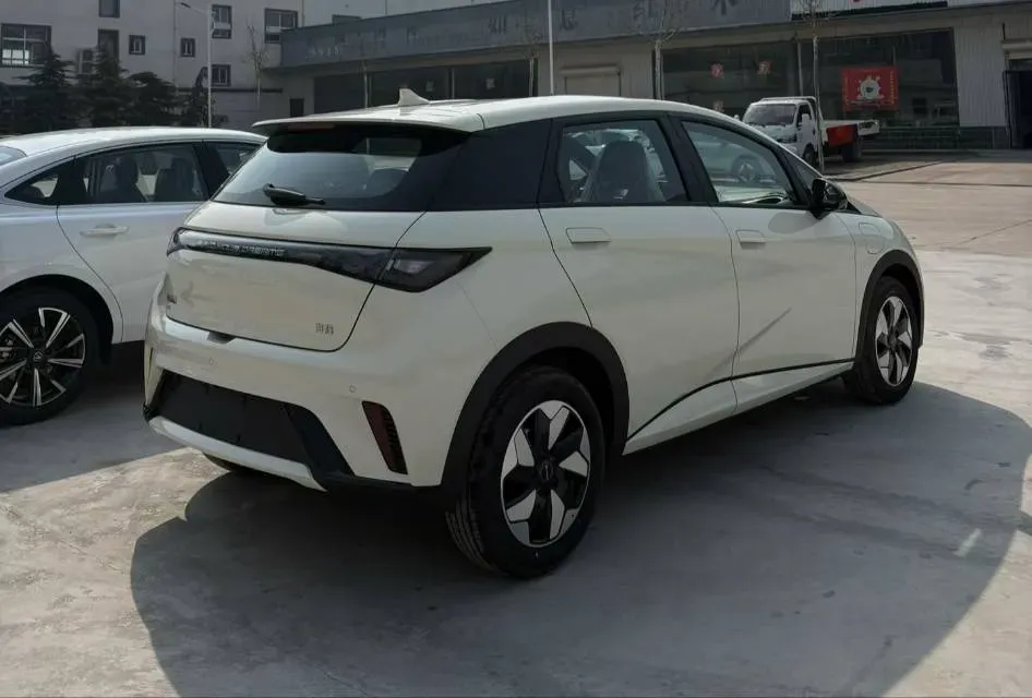 2025 BYD Dolphin BEV 44.928KWH,autocango,china used car exporter,china ev exporter,chinese used car exporter,chinese used ev exporter