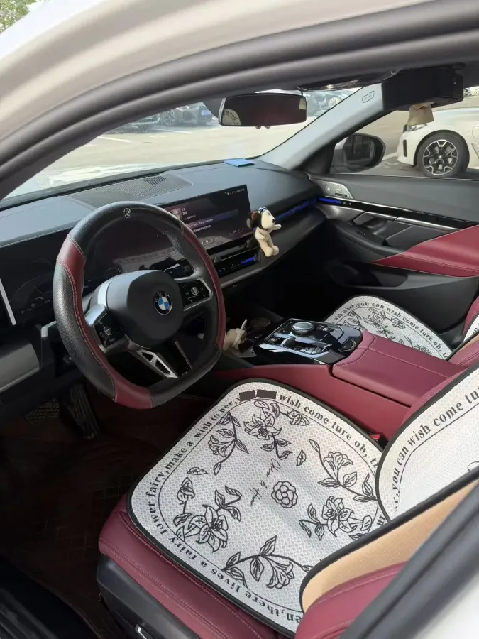 2025 BMW 5 Series 2.0T 190HP L4 8AT,autocango,china used car exporter,china ev exporter,chinese used car exporter,chinese used ev exporter