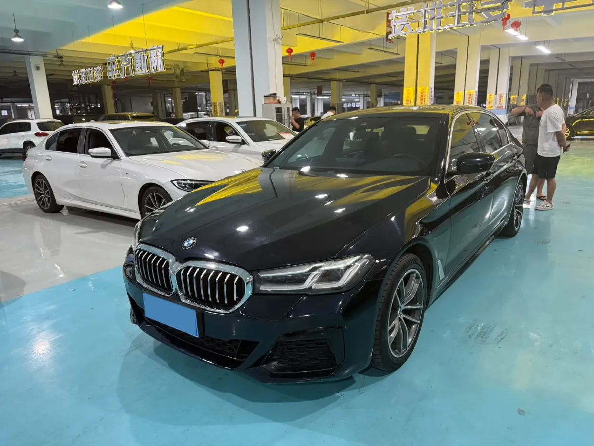 2021 BMW 5 Series 2.0T 184HP L4 8AT,autocango,china used car exporter,china ev exporter,chinese used car exporter,chinese used ev exporter