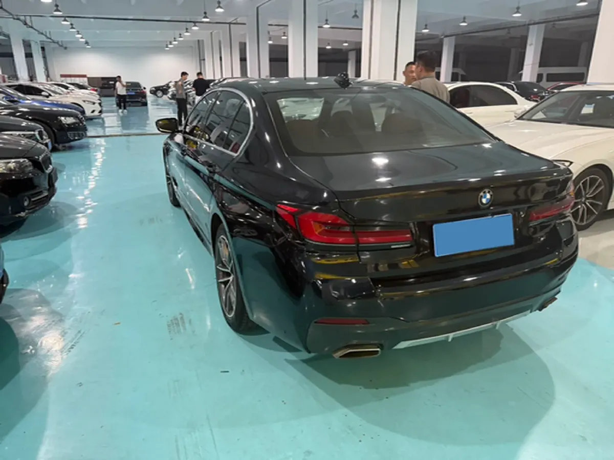 2021 BMW 5 Series 2.0T 184HP L4 8AT,autocango,china used car exporter,china ev exporter,chinese used car exporter,chinese used ev exporter