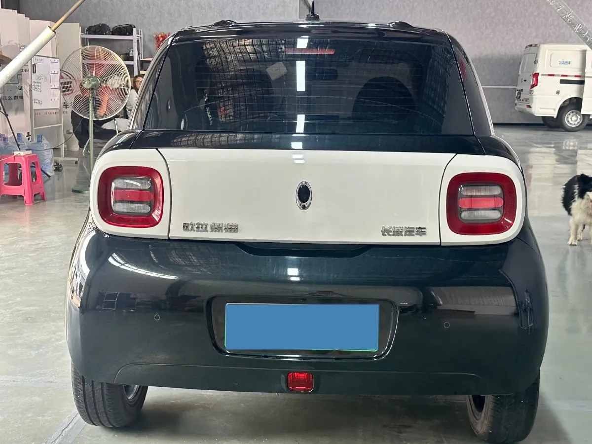 2021 Ora BlackCat BEV 33KWH,autocango,china used car exporter,china ev exporter,chinese used car exporter,chinese used ev exporter