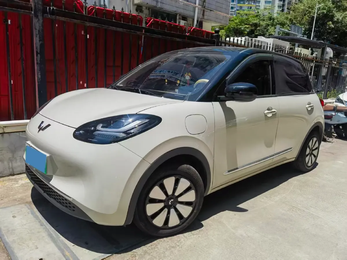 2023 WuLing BinGuo BEV 31.9KWH,autocango,china used car exporter,china ev exporter,chinese used car exporter,chinese used ev exporter