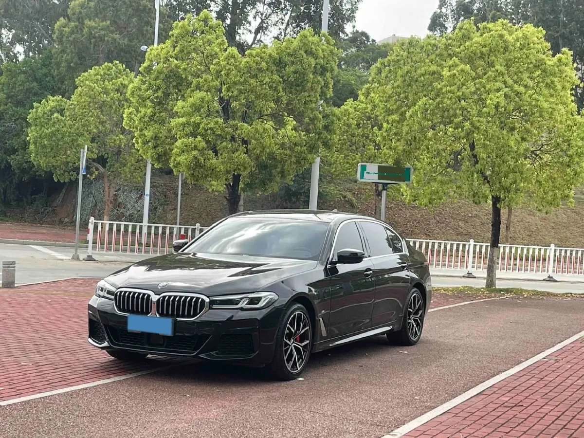 2022 BMW 5 Series 2.0T 252HP L4 8AT,autocango,china used car exporter,china ev exporter,chinese used car exporter,chinese used ev exporter