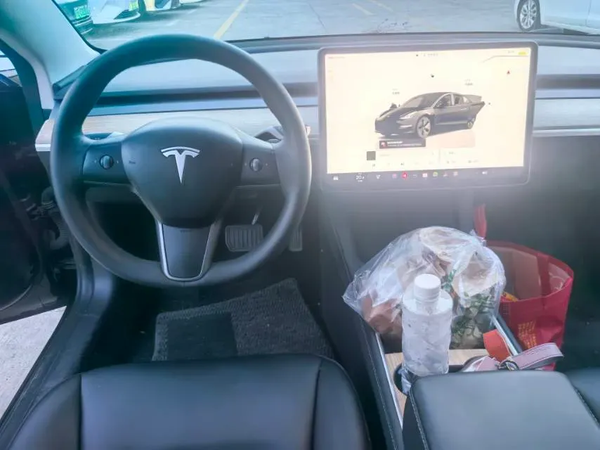 2022 Tesla Model 3 BEV 60KWH,autocango,china used car exporter,china ev exporter,chinese used car exporter,chinese used ev exporter