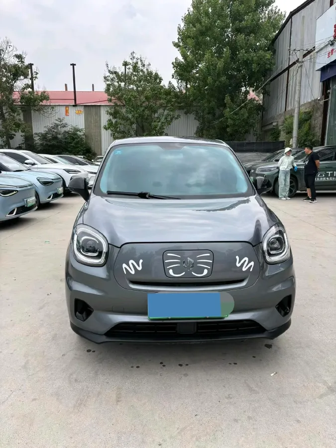 2020 Leapmotor T03 BEV 38KWH,autocango,china used car exporter,china ev exporter,chinese used car exporter,chinese used ev exporter