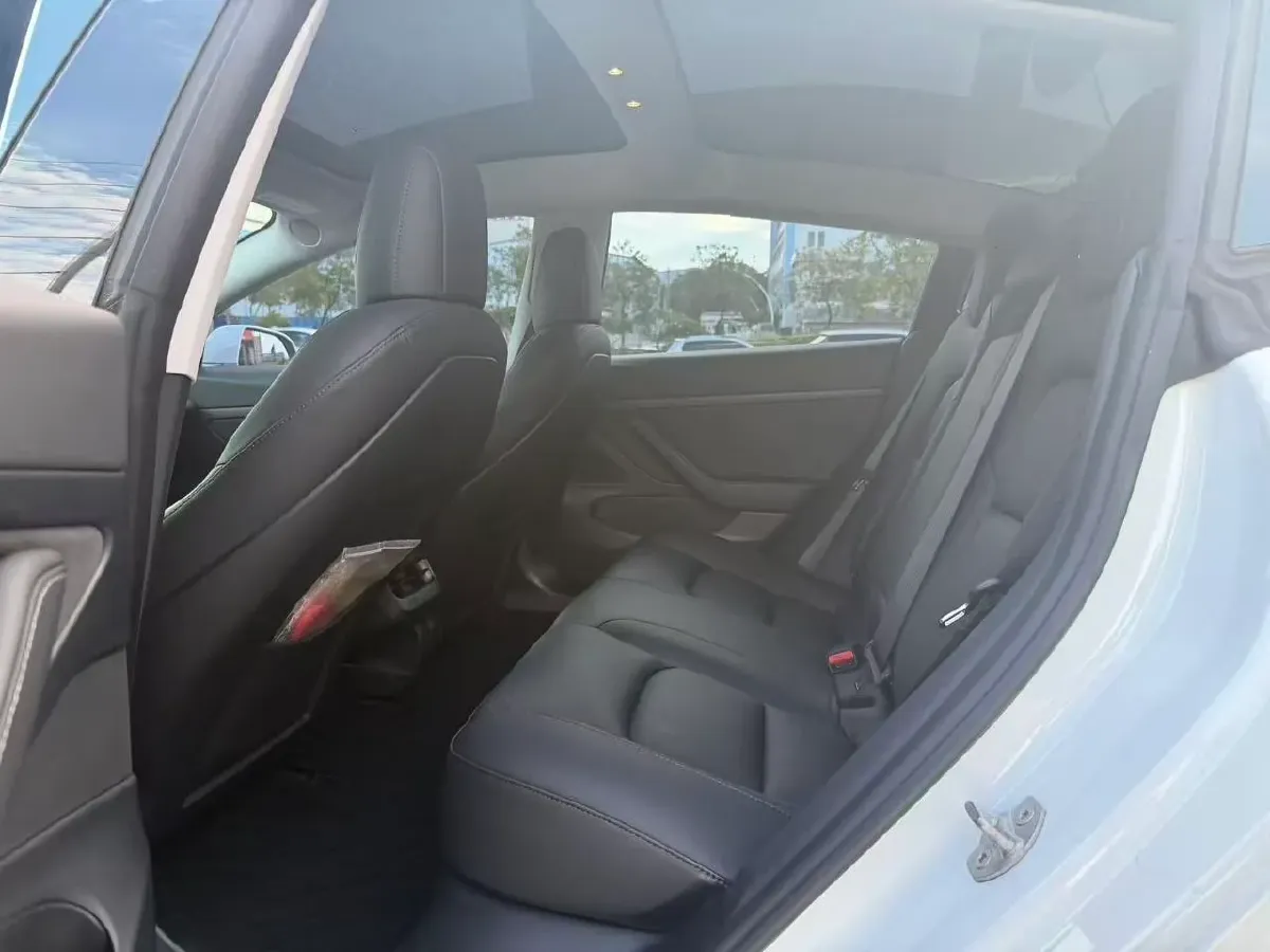 2020 Tesla Model 3 BEV 55KWH,autocango,china used car exporter,china ev exporter,chinese used car exporter,chinese used ev exporter