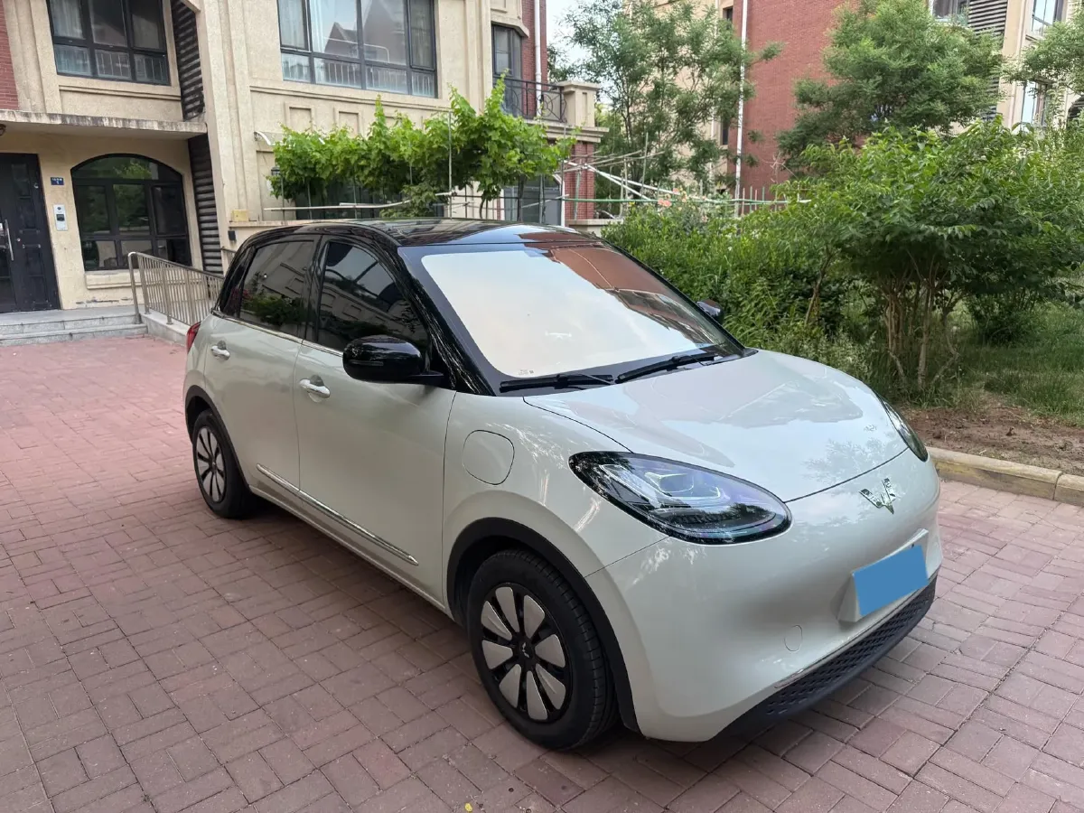 2024 WuLing BinGuo BEV 31.9KWH,autocango,china used car exporter,china ev exporter,chinese used car exporter,chinese used ev exporter
