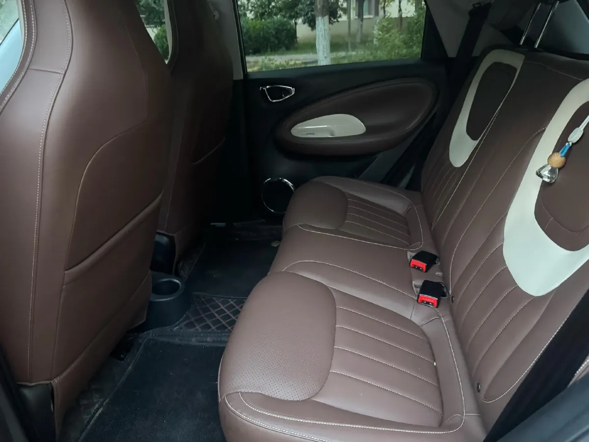 2024 WuLing BinGuo BEV 31.9KWH,autocango,china used car exporter,china ev exporter,chinese used car exporter,chinese used ev exporter