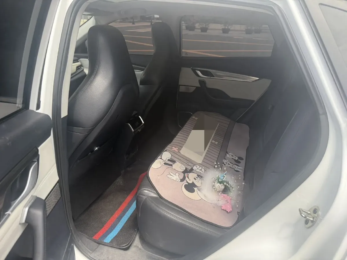 2019 Weltmeister EX5 BEV 69KWH,autocango,china used car exporter,china ev exporter,chinese used car exporter,chinese used ev exporter