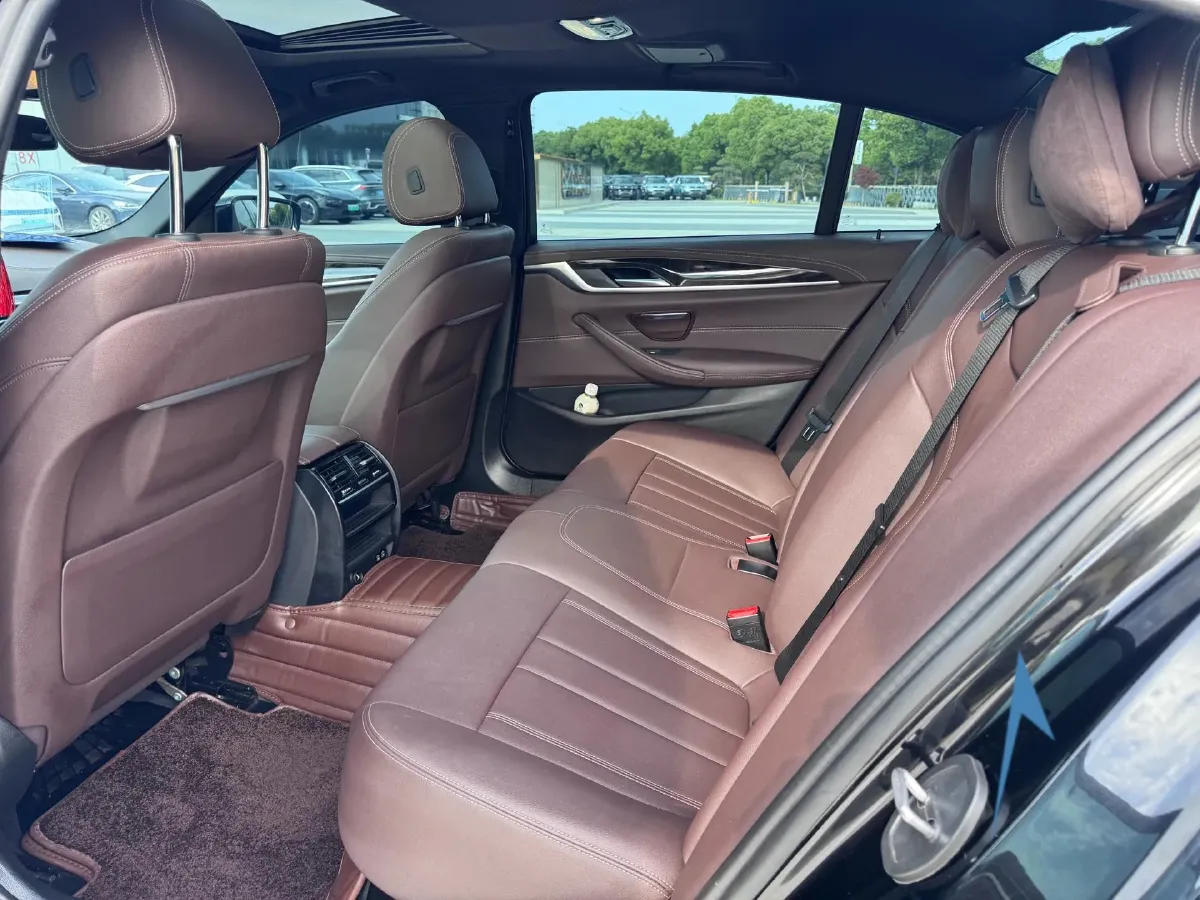 2020 BMW 5 Series 2.0T 184HP L4 8AT,autocango,china used car exporter,china ev exporter,chinese used car exporter,chinese used ev exporter