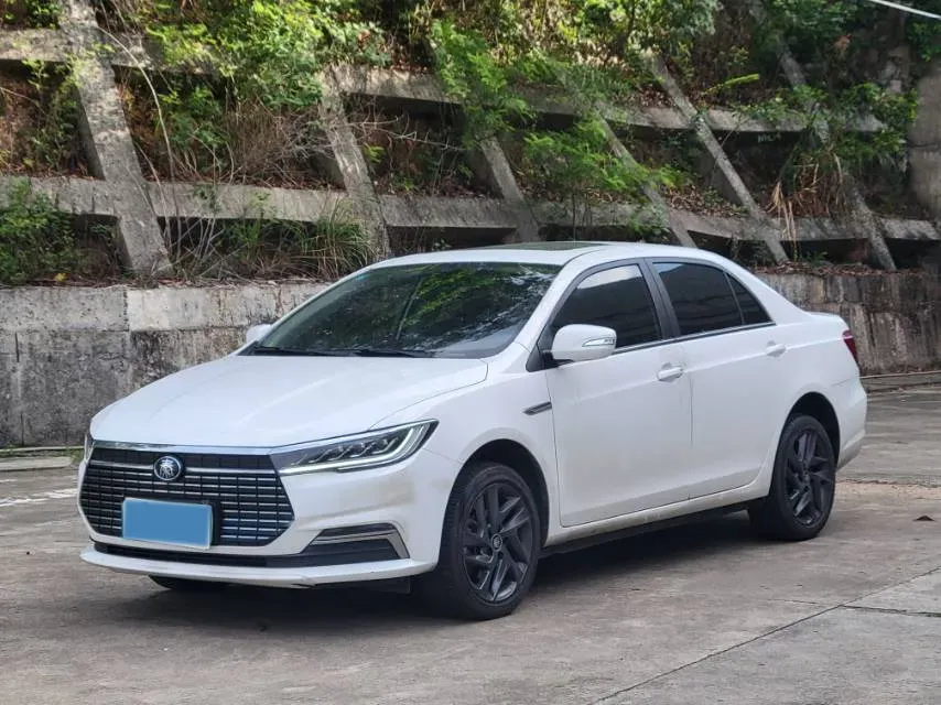 2019 BYD Qin BEV 53.1KWH,autocango,china used car exporter,china ev exporter,chinese used car exporter,chinese used ev exporter