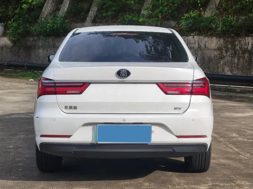 2019 BYD Qin BEV 53.1KWH,autocango,china used car exporter,china ev exporter,chinese used car exporter,chinese used ev exporter