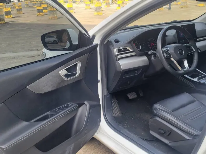 2019 BYD Qin BEV 53.1KWH,autocango,china used car exporter,china ev exporter,chinese used car exporter,chinese used ev exporter