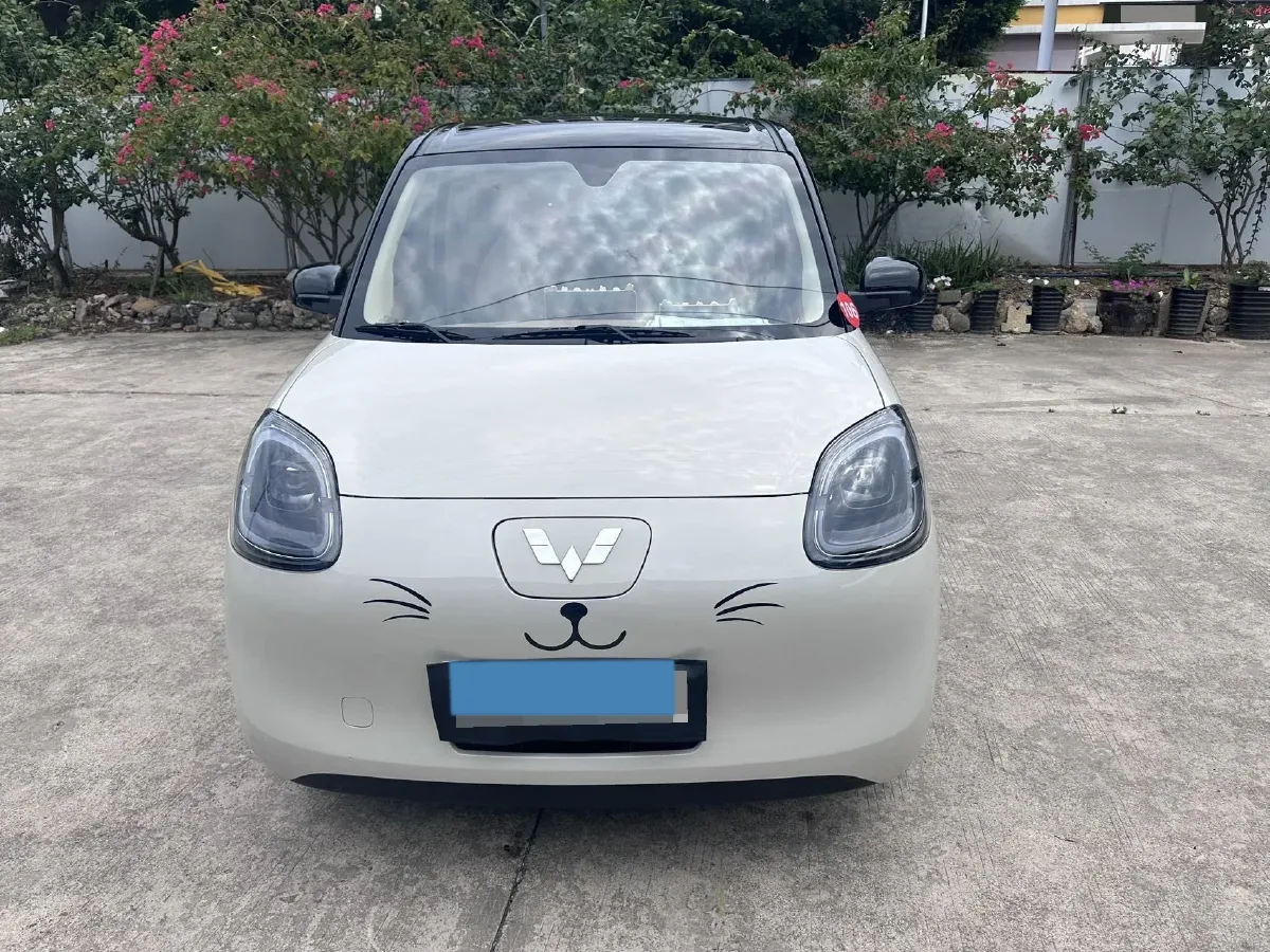 2025 WuLing HongGuang MINI EV BEV 16.2KWH,autocango,china used car exporter,china ev exporter,chinese used car exporter,chinese used ev exporter