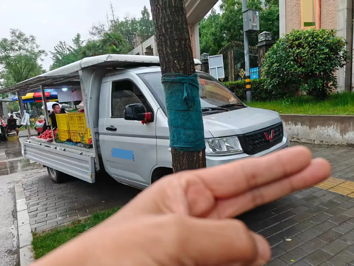 2023 WuLing RongGuang New Truck 2.0L 136HP L4 5MT,autocango,china used car exporter,china ev exporter,chinese used car exporter,chinese used ev exporter
