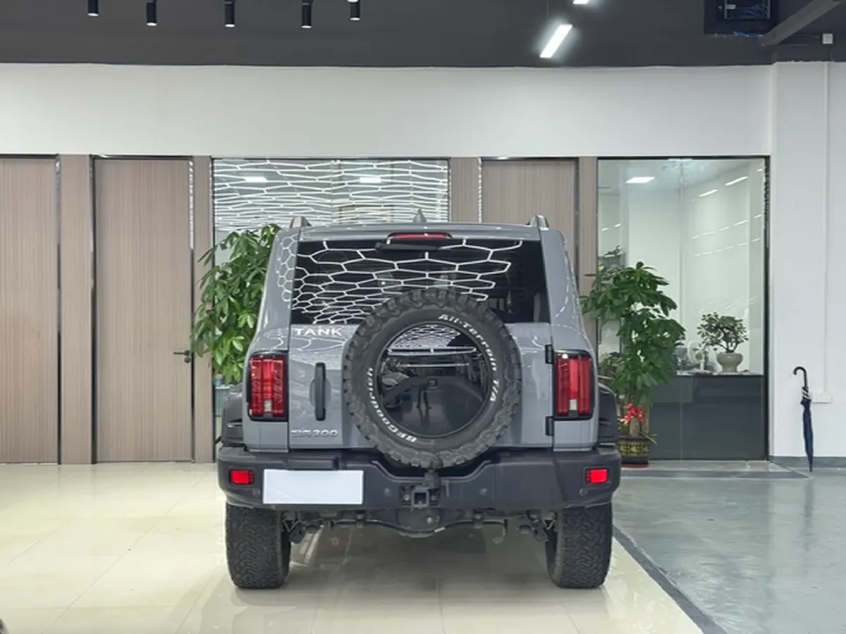 2022 Tank 300 2.0T 227HP L4 8AT,autocango,china used car exporter,china ev exporter,chinese used car exporter,chinese used ev exporter