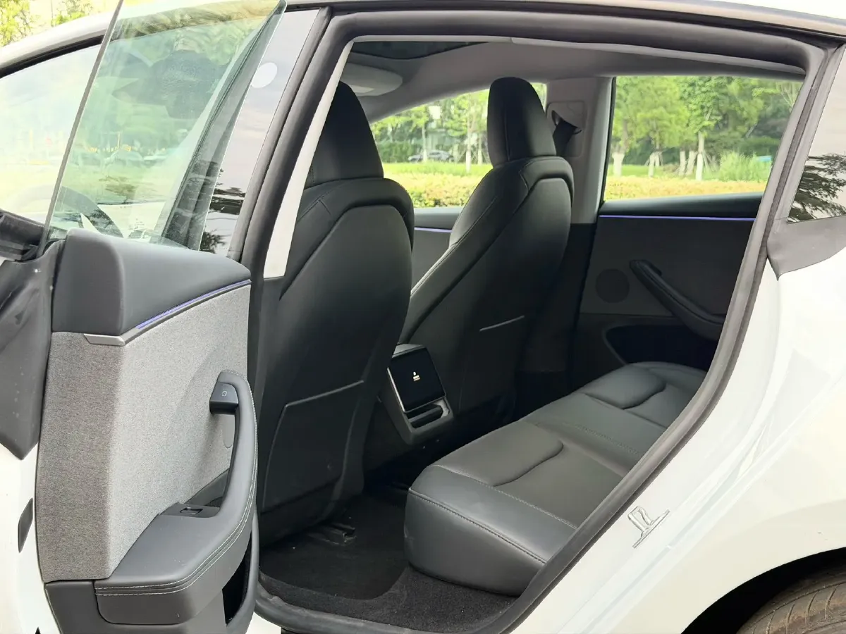 2025 Tesla Model 3 BEV,autocango,china used car exporter,china ev exporter,chinese used car exporter,chinese used ev exporter