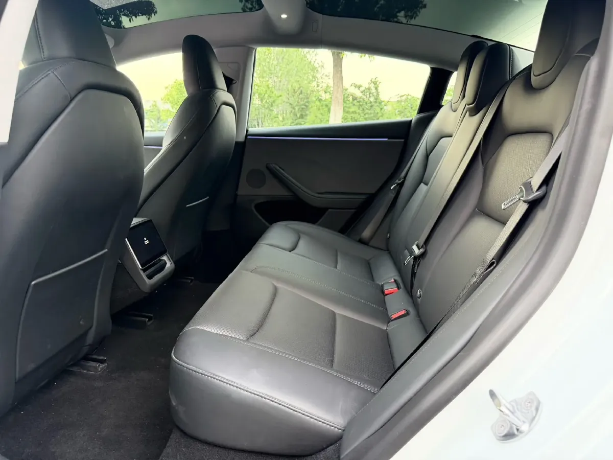 2025 Tesla Model 3 BEV,autocango,china used car exporter,china ev exporter,chinese used car exporter,chinese used ev exporter