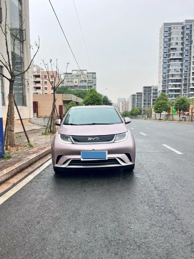 2024 BYD Dolphin BEV 44.928KWH,autocango,china used car exporter,china ev exporter,chinese used car exporter,chinese used ev exporter
