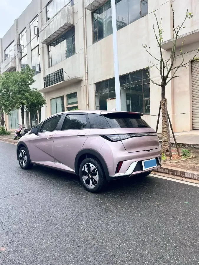 2024 BYD Dolphin BEV 44.928KWH,autocango,china used car exporter,china ev exporter,chinese used car exporter,chinese used ev exporter