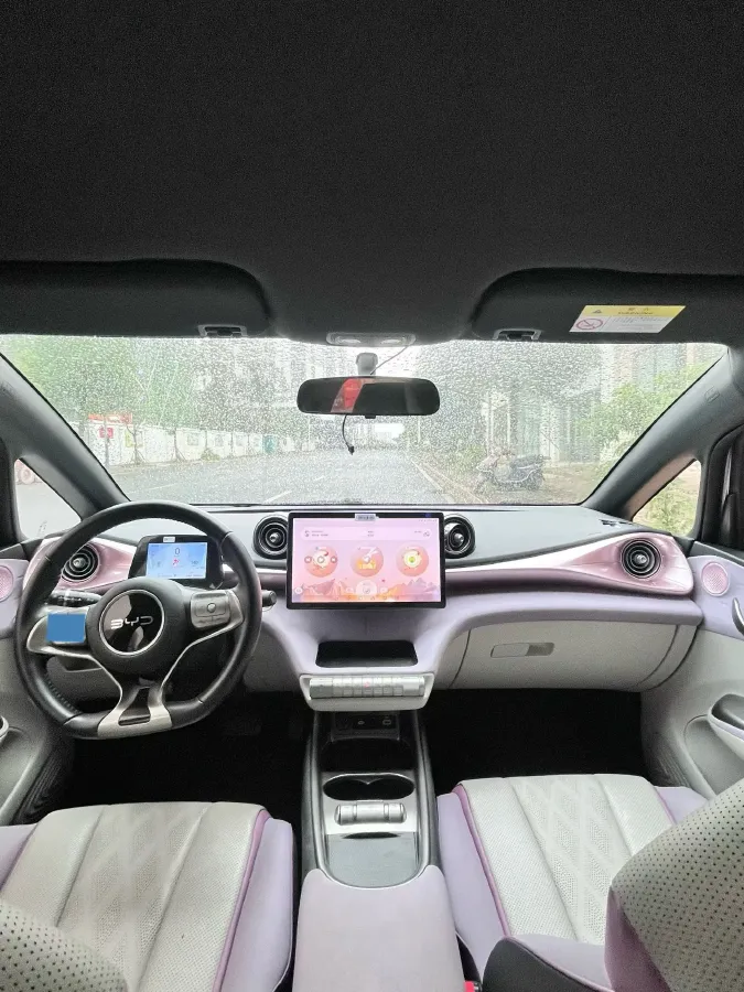 2024 BYD Dolphin BEV 44.928KWH,autocango,china used car exporter,china ev exporter,chinese used car exporter,chinese used ev exporter