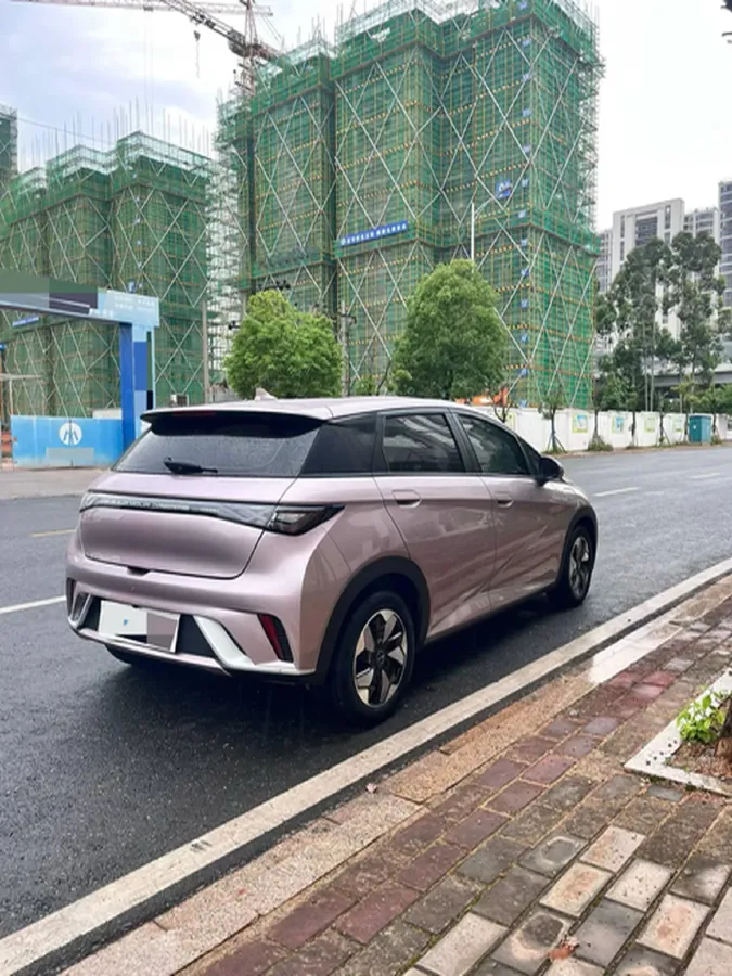 2024 BYD Dolphin BEV 44.928KWH,autocango,china used car exporter,china ev exporter,chinese used car exporter,chinese used ev exporter