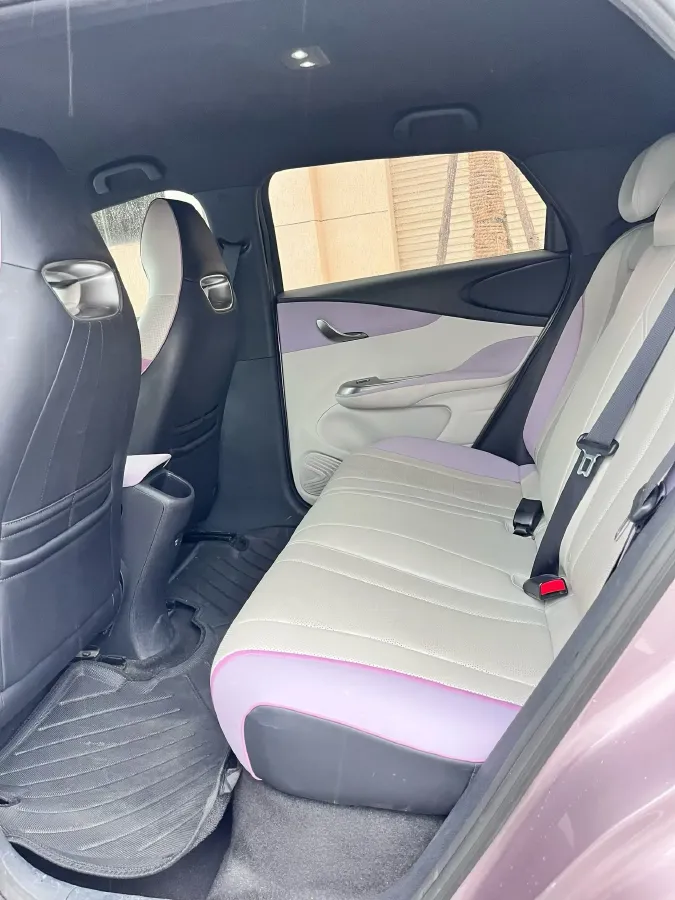 2024 BYD Dolphin BEV 44.928KWH,autocango,china used car exporter,china ev exporter,chinese used car exporter,chinese used ev exporter