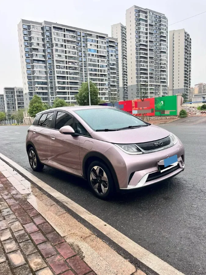 2024 BYD Dolphin BEV 44.928KWH,autocango,china used car exporter,china ev exporter,chinese used car exporter,chinese used ev exporter