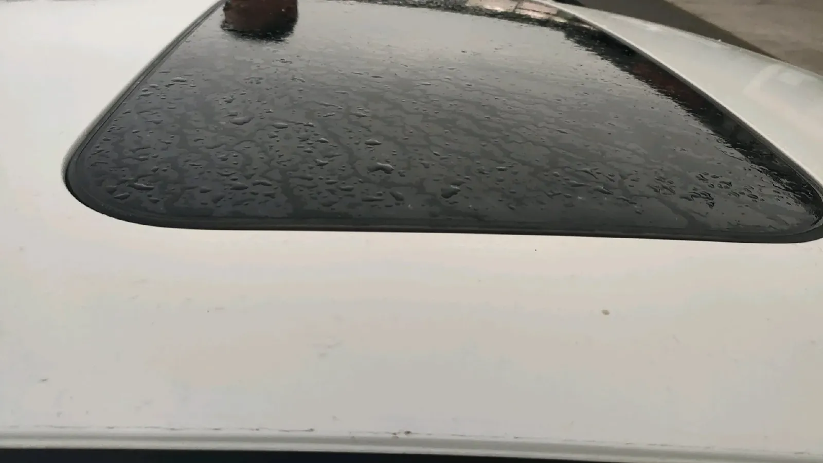 2019 Nissan Sylphy 1.6L 126HP L4 CVT,autocango,china used car exporter,china ev exporter,chinese used car exporter,chinese used ev exporter