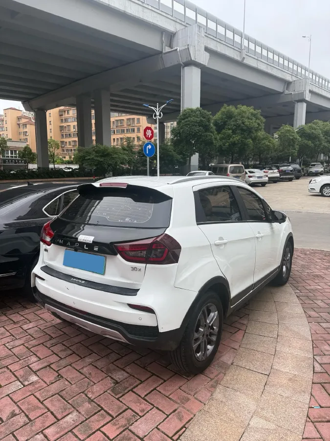 2020 Livan Maple 30X BEV 37KWH,autocango,china used car exporter,china ev exporter,chinese used car exporter,chinese used ev exporter