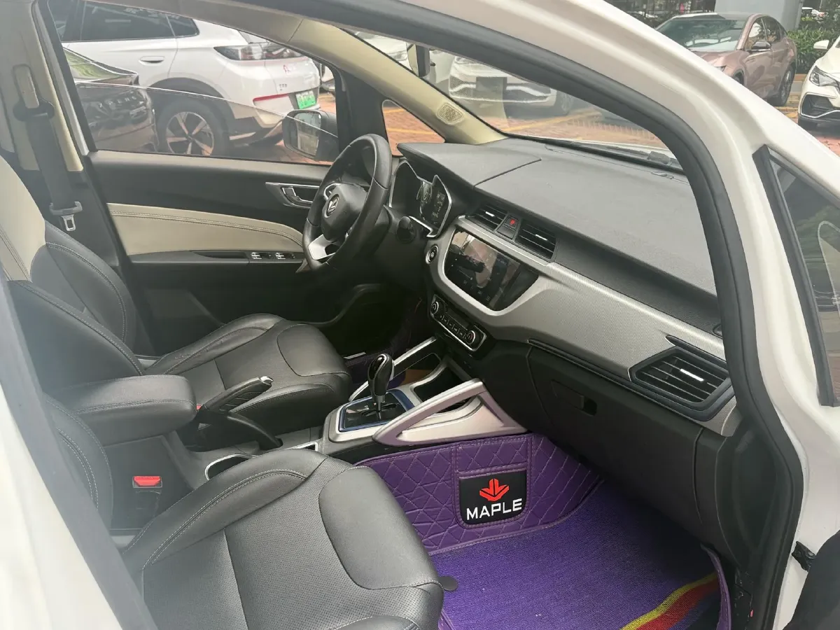 2020 Livan Maple 30X BEV 37KWH,autocango,china used car exporter,china ev exporter,chinese used car exporter,chinese used ev exporter