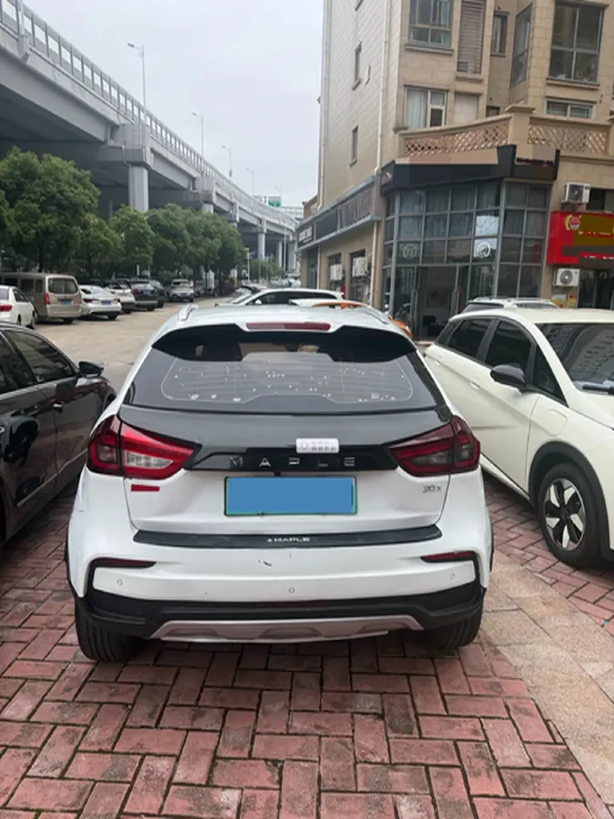 2020 Livan Maple 30X BEV 37KWH,autocango,china used car exporter,china ev exporter,chinese used car exporter,chinese used ev exporter