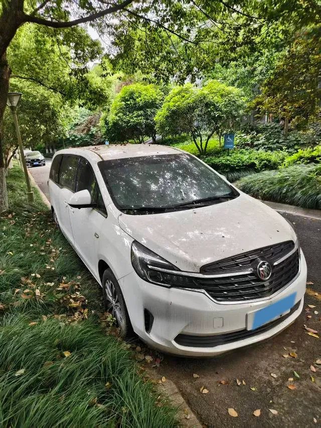 2021 Buick GL8 2.0T 237HP L4 9AT,autocango,china used car exporter,china ev exporter,chinese used car exporter,chinese used ev exporter