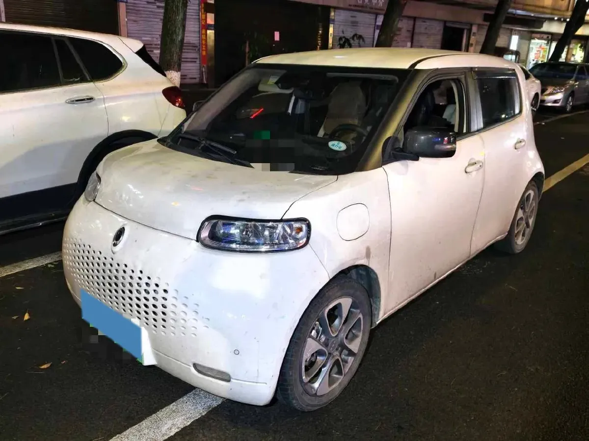 2020 Ora WhiteCat BEV 36KWH,autocango,china used car exporter,china ev exporter,chinese used car exporter,chinese used ev exporter