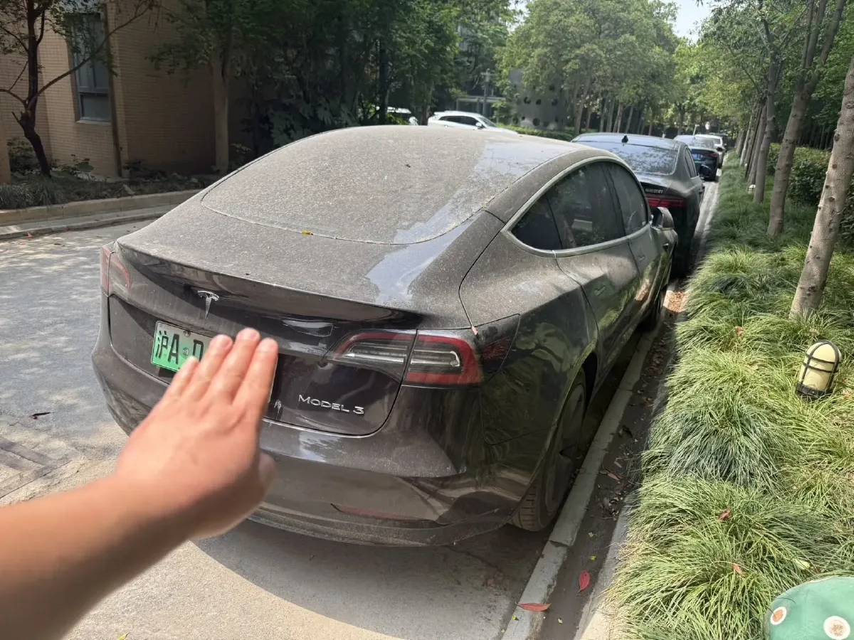 2020 Tesla Model 3 BEV 52KWH,autocango,china used car exporter,china ev exporter,chinese used car exporter,chinese used ev exporter