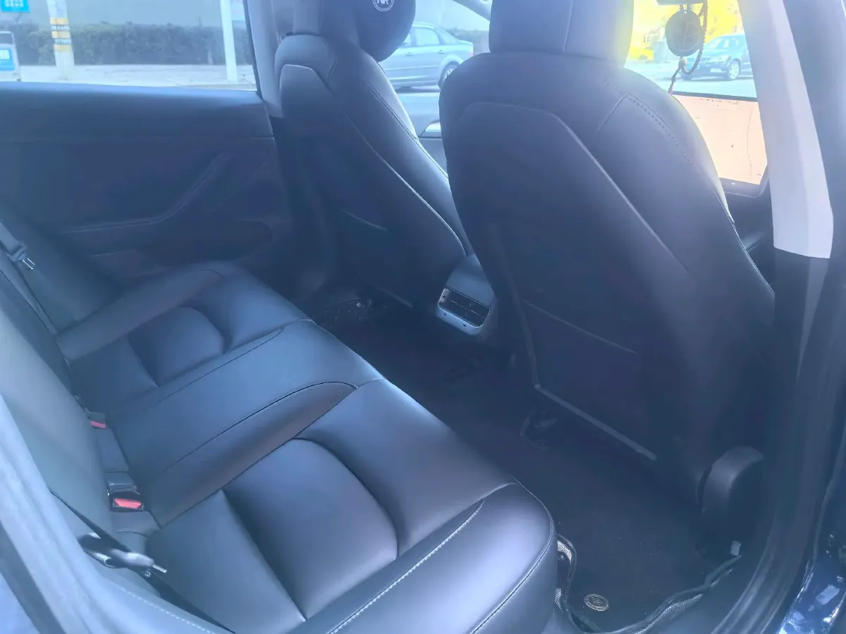 2021 Tesla Model 3 BEV 55KWH,autocango,china used car exporter,china ev exporter,chinese used car exporter,chinese used ev exporter