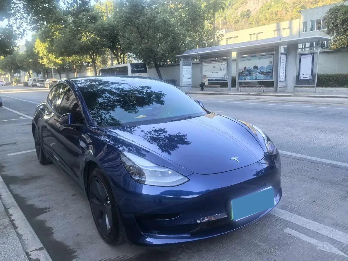 2021 Tesla Model 3 BEV 55KWH,autocango,china used car exporter,china ev exporter,chinese used car exporter,chinese used ev exporter