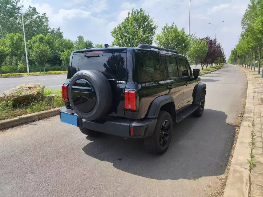 2024 Tank 300 2.0T 227HP L4 8AT,autocango,china used car exporter,china ev exporter,chinese used car exporter,chinese used ev exporter