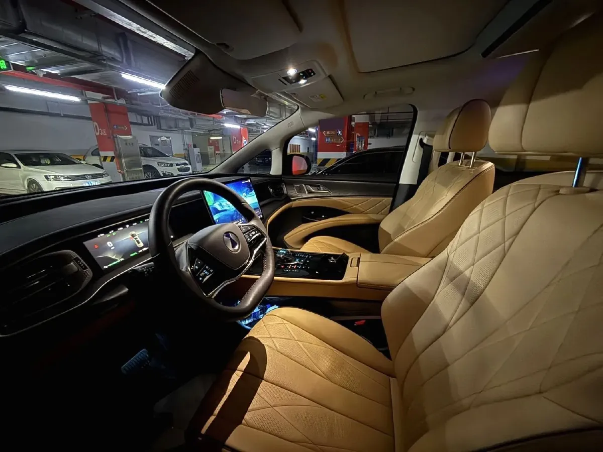 2024 Denza D9 1.5T 139HP L4 E-CVT PHEV 40KWH,autocango,china used car exporter,china ev exporter,chinese used car exporter,chinese used ev exporter