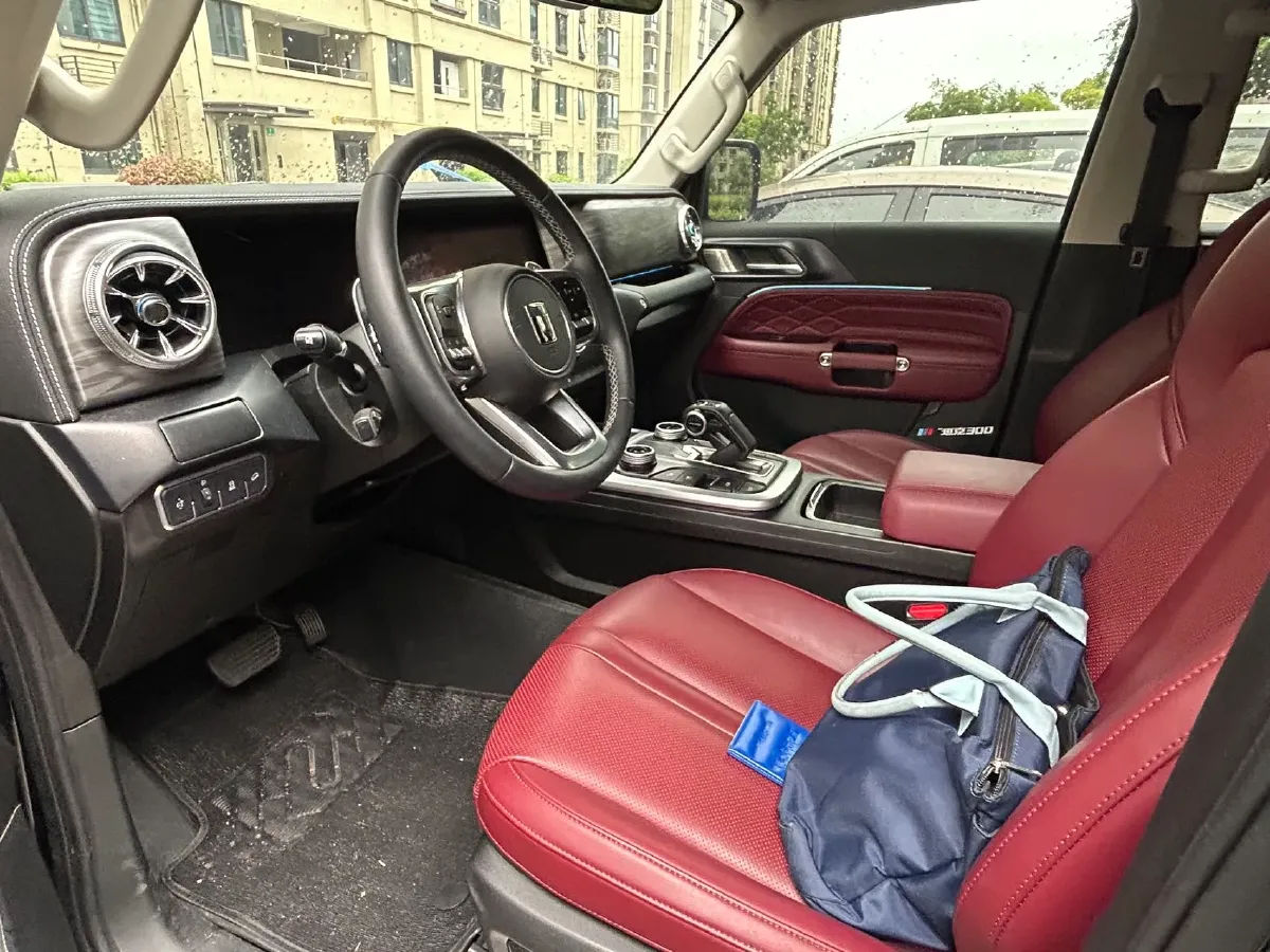 2024 Tank 300 2.0T 252HP L4 9AT,autocango,china used car exporter,china ev exporter,chinese used car exporter,chinese used ev exporter