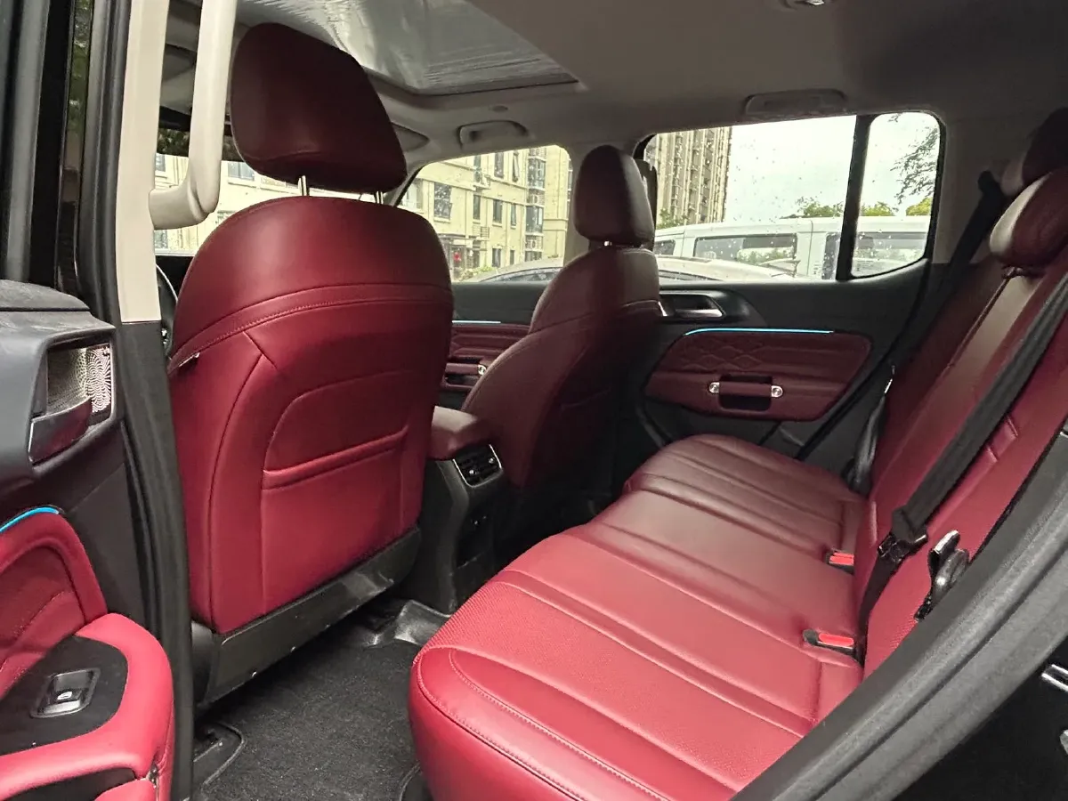 2024 Tank 300 2.0T 252HP L4 9AT,autocango,china used car exporter,china ev exporter,chinese used car exporter,chinese used ev exporter