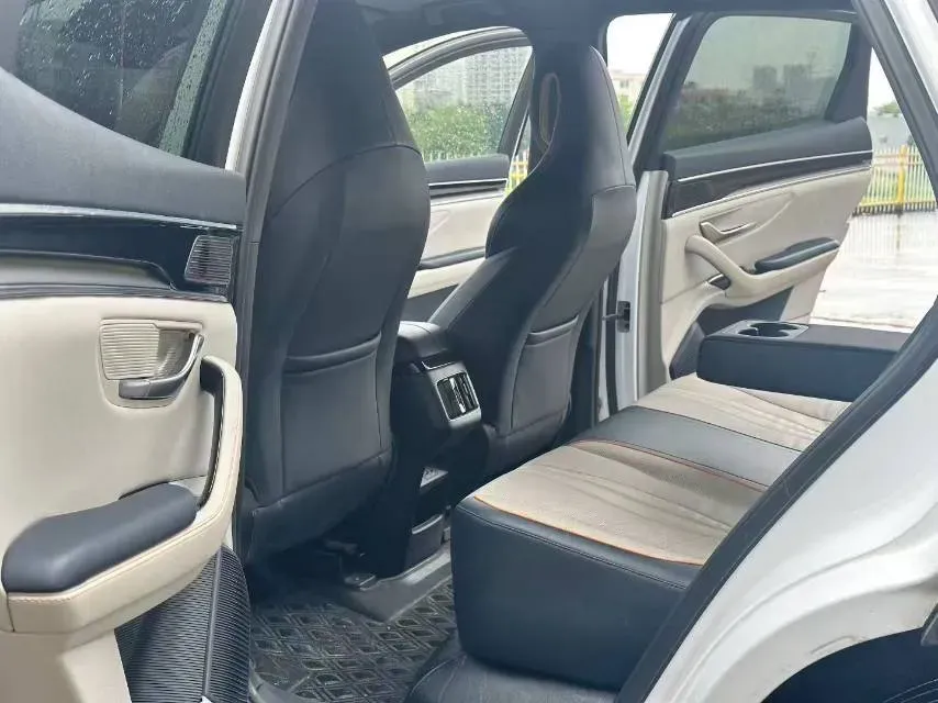 2021 SRM Sea Lion EV BEV 41.86KWH,autocango,china used car exporter,china ev exporter,chinese used car exporter,chinese used ev exporter