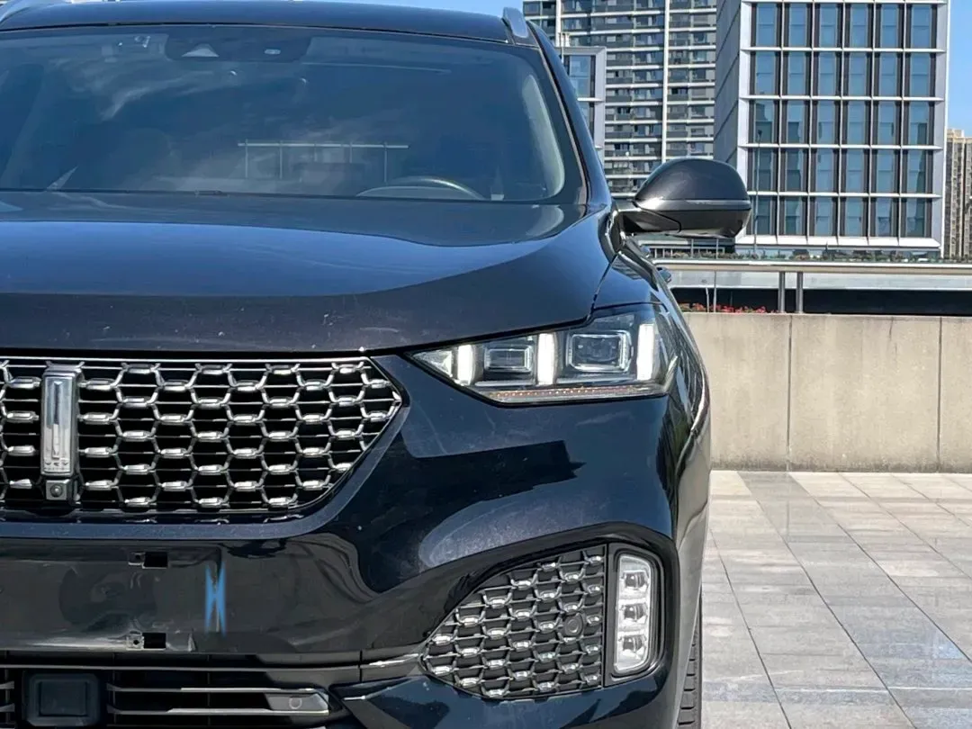 2020 WEY VV6 2.0T 227HP L4 7DCT,autocango,china used car exporter,china ev exporter,chinese used car exporter,chinese used ev exporter