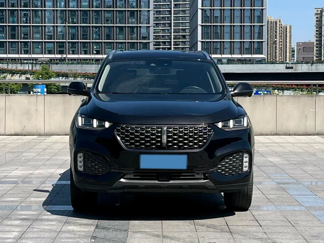 2020 WEY VV6 2.0T 227HP L4 7DCT,autocango,china used car exporter,china ev exporter,chinese used car exporter,chinese used ev exporter