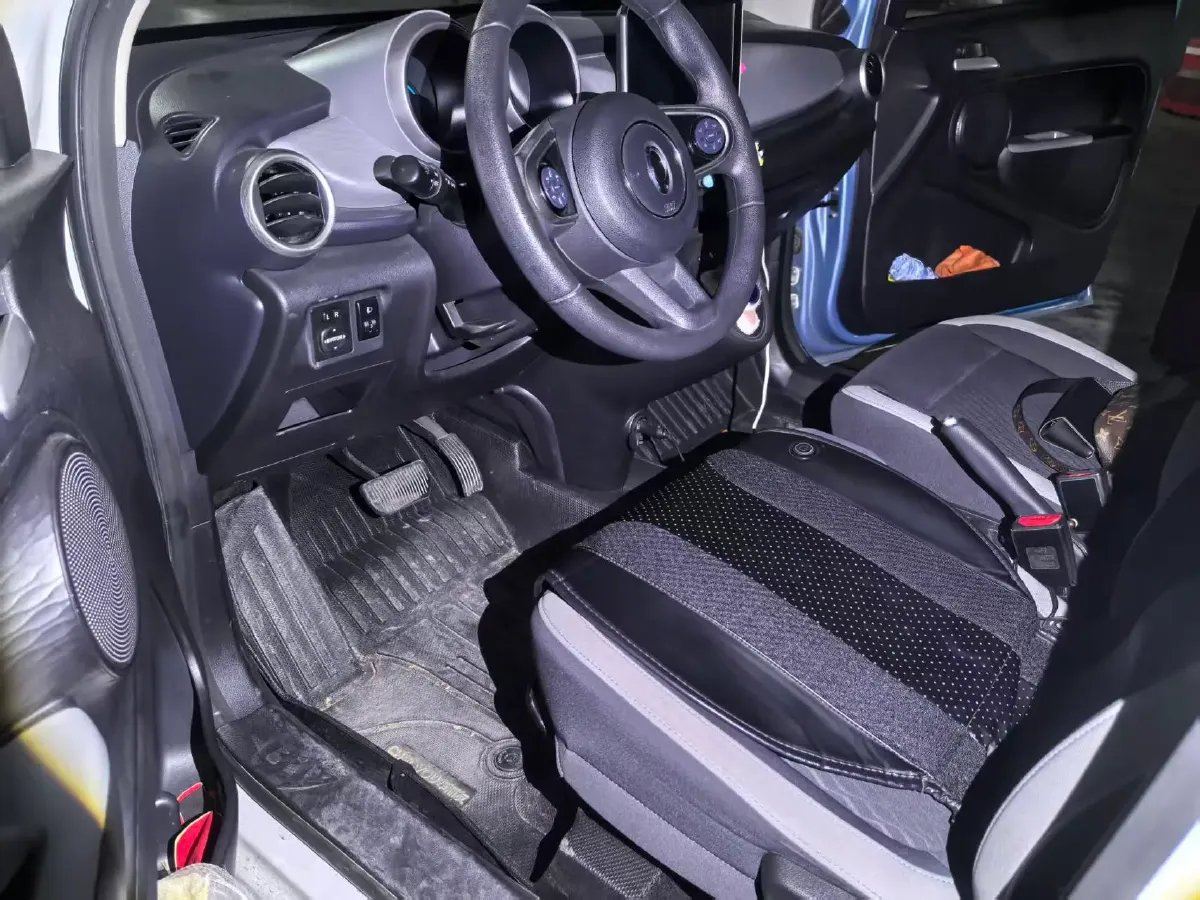 2019 Ora BlackCat BEV 28.5KWH,autocango,china used car exporter,china ev exporter,chinese used car exporter,chinese used ev exporter