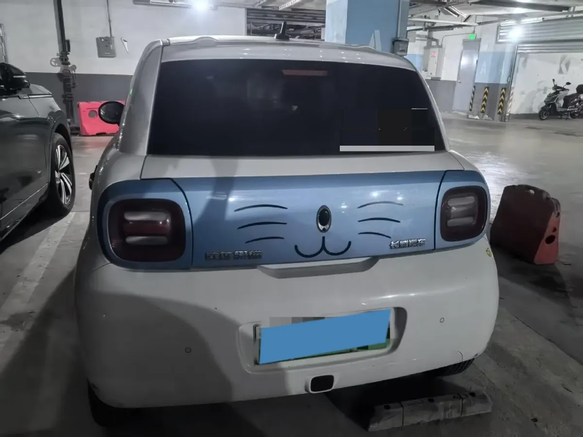 2019 Ora BlackCat BEV 28.5KWH,autocango,china used car exporter,china ev exporter,chinese used car exporter,chinese used ev exporter